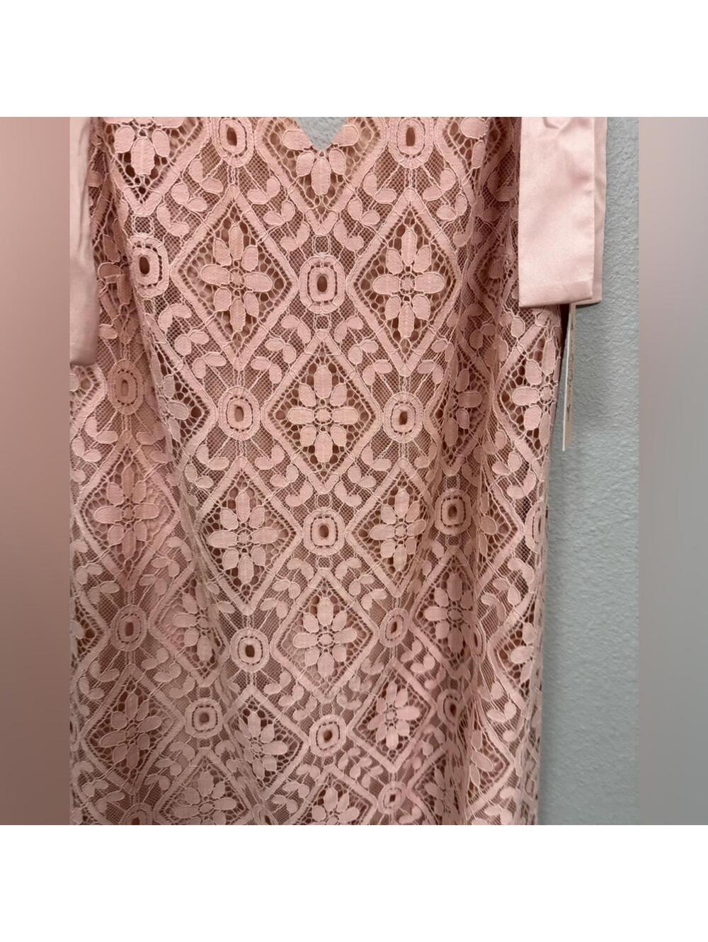 Nanette Lepore Blush Pink Lace Ribbon Ruffle Mini Dress NWT Size 12 - Picture 4 of 7